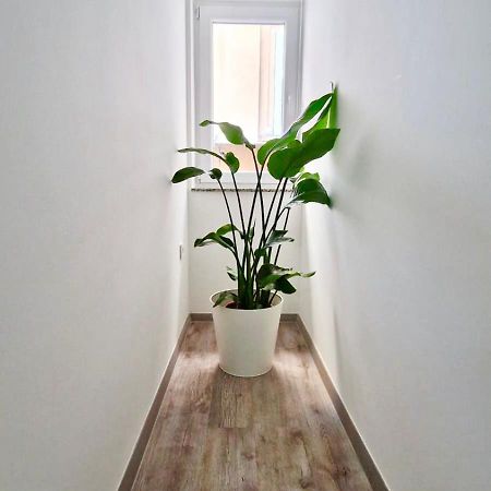 Ljubljana Central Cozy Apartment W Free Parking Exteriér fotografie